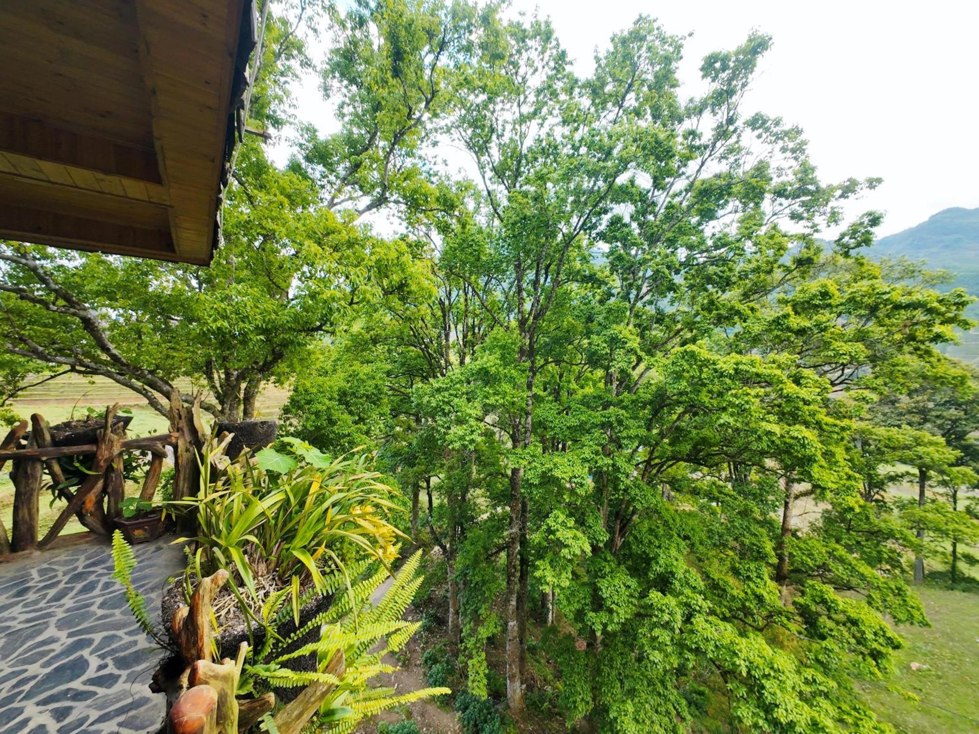 Mt House Sa Pa Hotel Luaran gambar